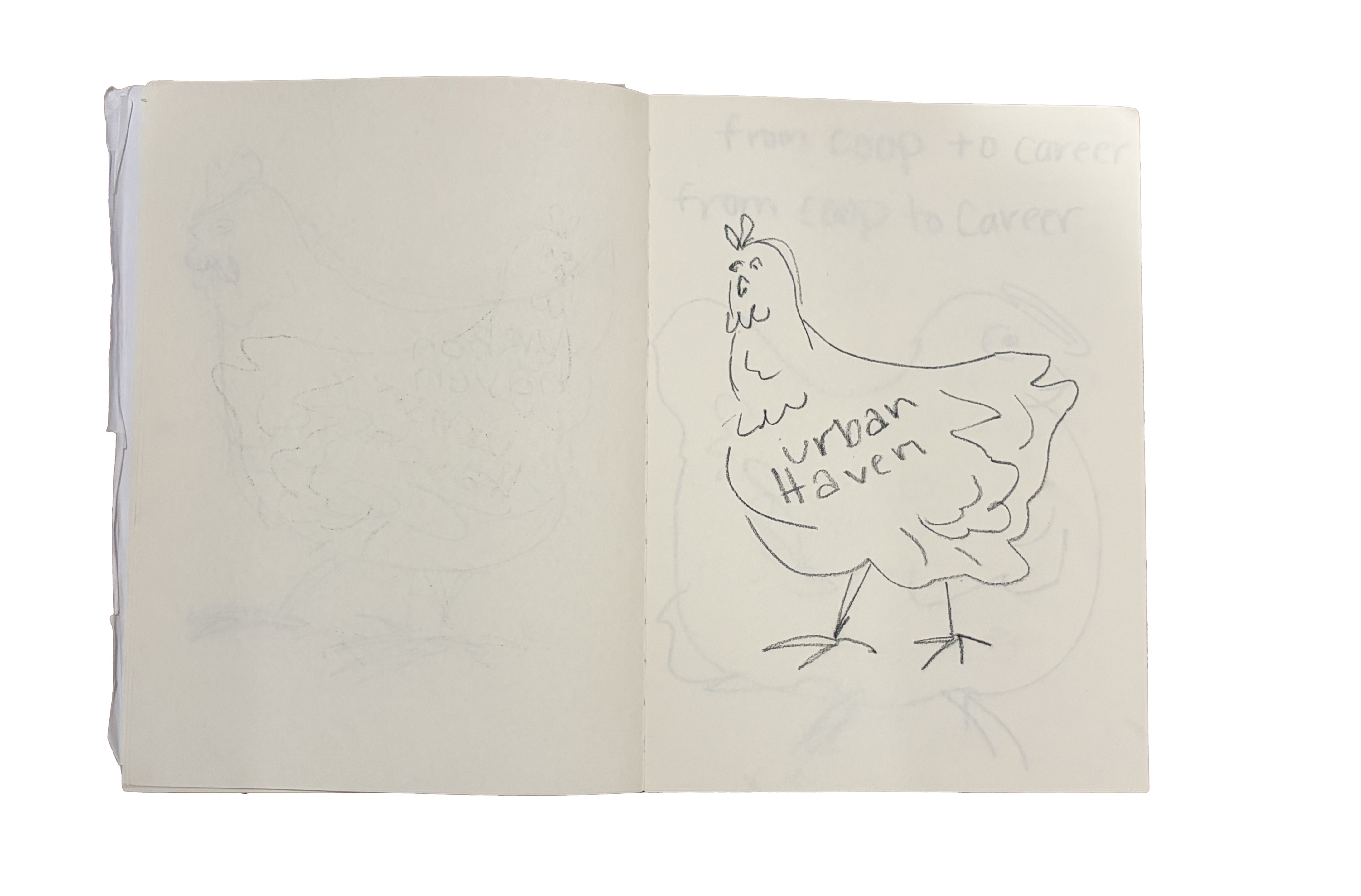 Sketchbook drawing of the chicken illustration and early Urban Haven lettering.